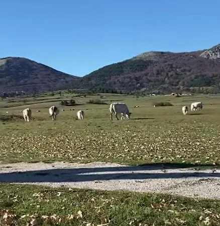 Casa Flag Tur Castel del Monte (Abruzzo)